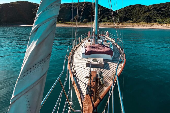 Afternoon Sail – Bay of Islands Vigilant Yacht Charters