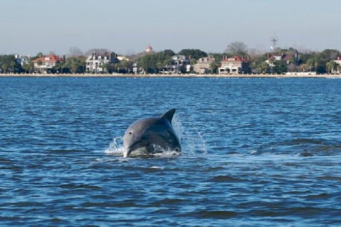 Afternoon Schooner Sightseeing Dolphin Cruise on Charleston Harbor - Cruise Details