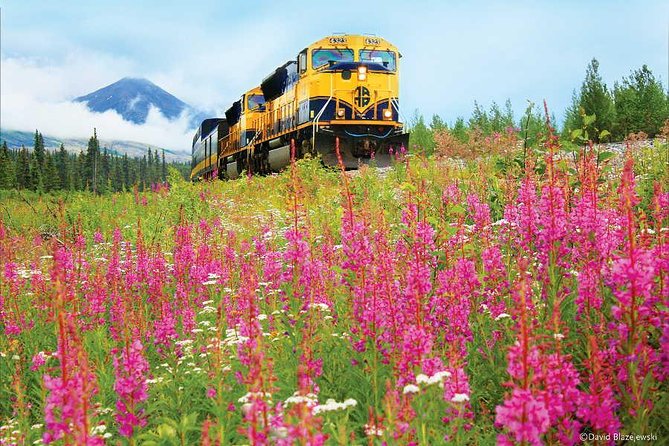 Alaska Railroad Anchorage to Seward Round-Trip Same Day Return