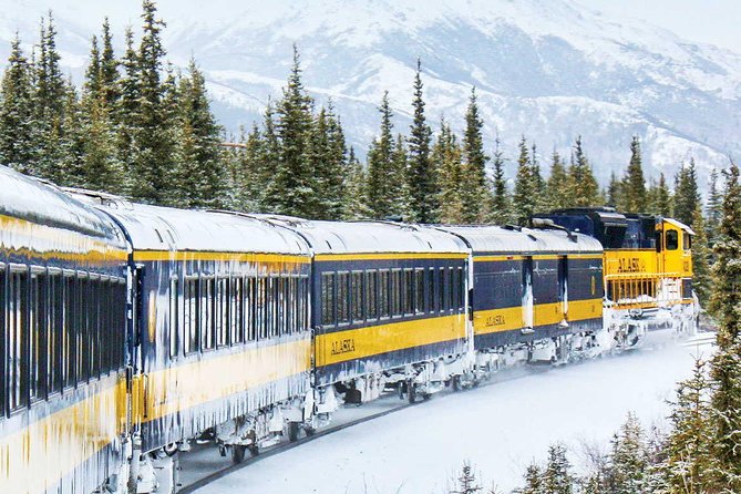 Alaska Railroad Aurora Winter Anchorage to Fairbanks One Way - Wildlife Sightings and Backcountry Views