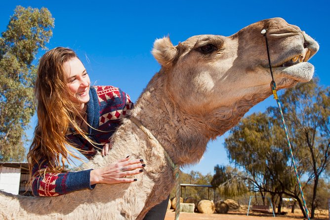 Alice Springs Camel Tour - Tour Details