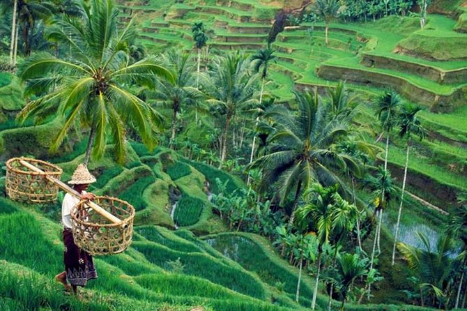 All Inclusive Ubud Private Tour - Inclusions and Services Provided