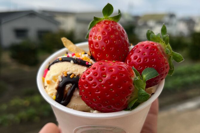 All You Can Eat Strawberry Picking in Izumisano Osaka - Additional Information