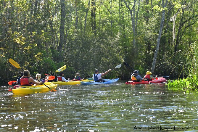 Amelia Island Kayaking Tour  - Jacksonville - Wildlife Encounters