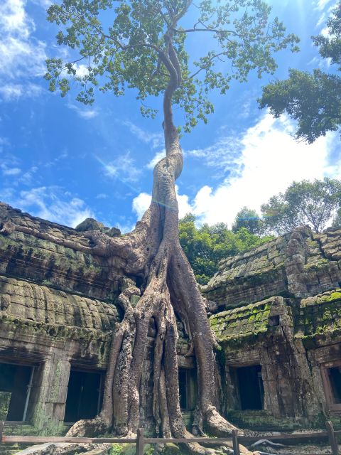 Angkor Exploration Day Tour