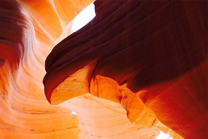 Antelope Canyon and Horseshoe Bend Day Tour With Lunch - Tour Details and Logistics