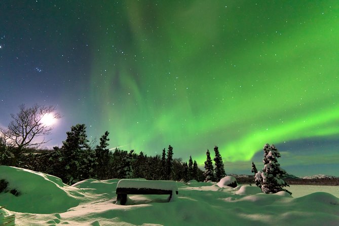 Arctic Circle and Northern Lights Tour From Fairbanks - Tour Overview and Inclusions