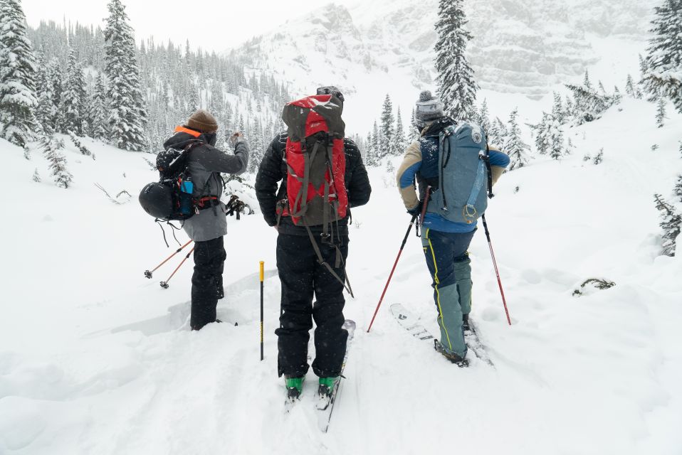 AST 1: Avalanche Skills Training Level 1 - Activity Details