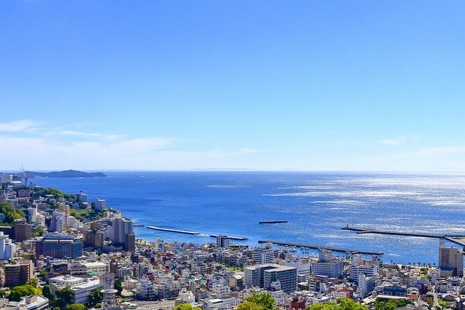 Atami Half-Day Private Tour With Government-Licensed Guide