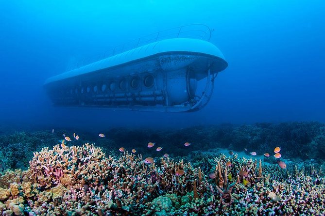 Atlantis Submarine From Kona Beach - Tour Details and Inclusions