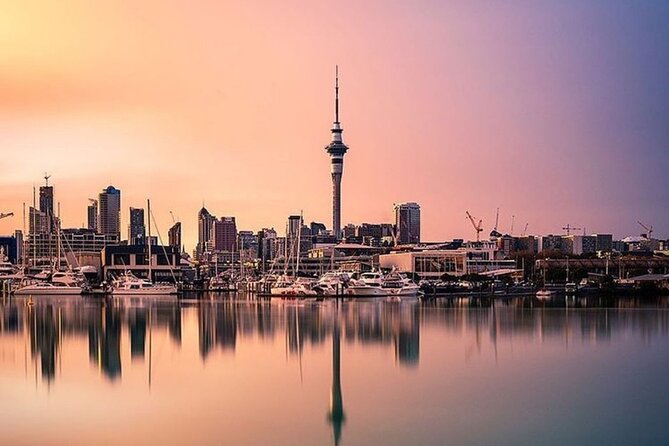 Auckland City Highlights Full Day Tour