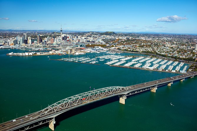Auckland City Small-Group Morning Discovery Tour - Tour Highlights