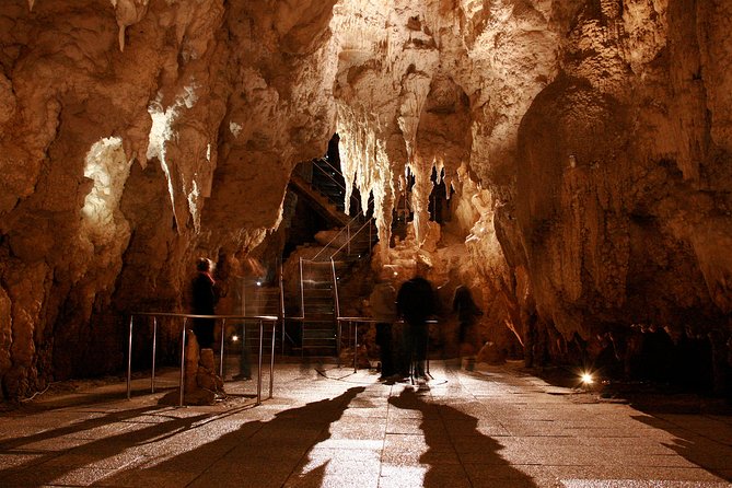 Auckland to Waitomo Caves Private Tour - Vehicle and Pick-up Details