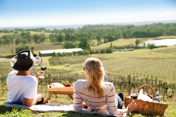 Audrey Wilkinson Vineyard: Picnic With Wine Masterclass Tasting - Experience Highlights