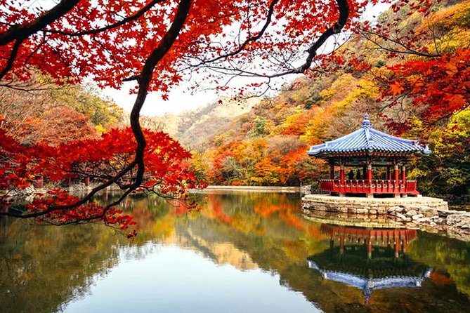 Autumn 3 Days Jeonju&Mt. Naejansan&Seoul on 4-12 Nov