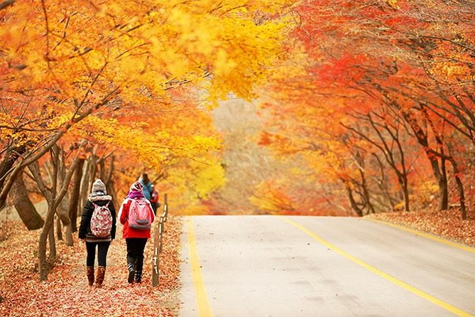 Autumn 8 Days South Korea Tour Including Jeonju,Damyang,Mt.Naejangsan