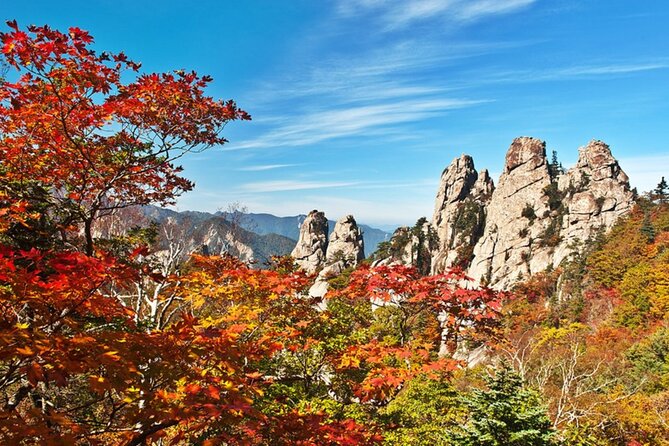 Autumn Limited: Seoraksan X Maple Mountain Cable Car Tour - Tour Highlights