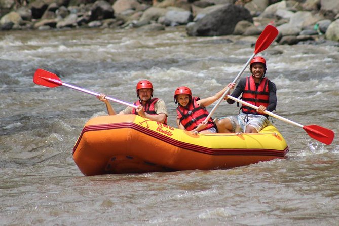 Ayung River - White Water Rafting Bali - Ayung River Rafting Experience Highlights