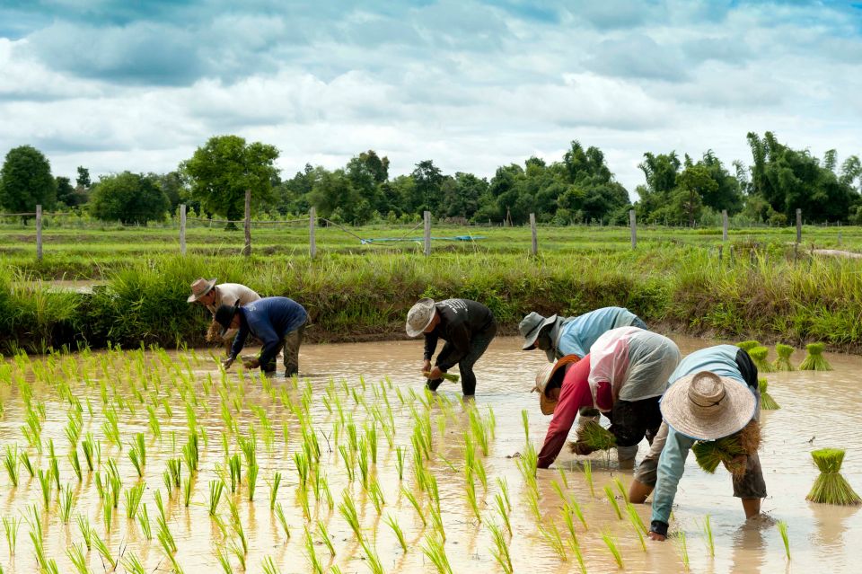 Back to Basics: Siem Reap Village Tour in Cambodia - Booking and Logistics