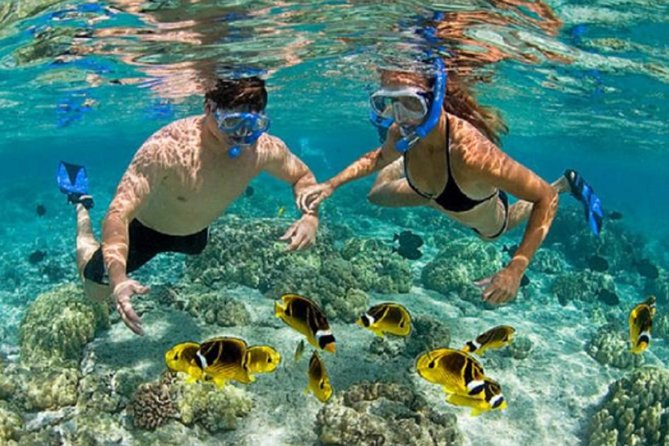 Bali ATV Blue Lagoon Snorkeling Private Guided Tour Free WiFi - Tour Pricing and Variations