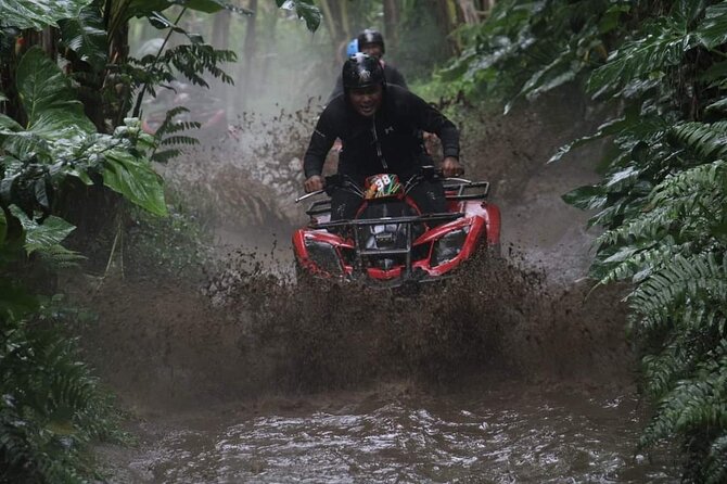 Bali ATV Quadbike Through Gorilla Face Cave