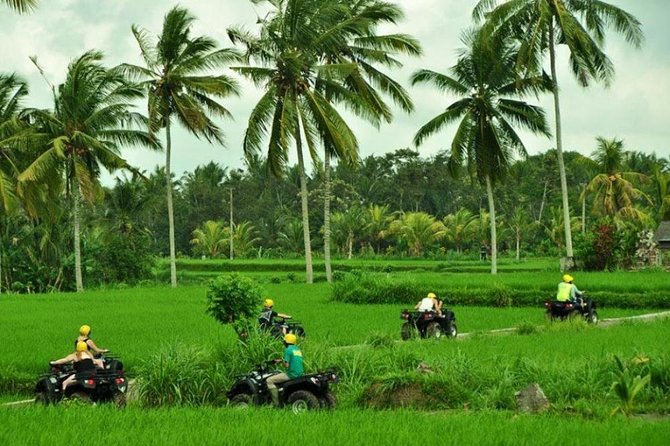 Bali ATV Ride Ubud Rice Field Track