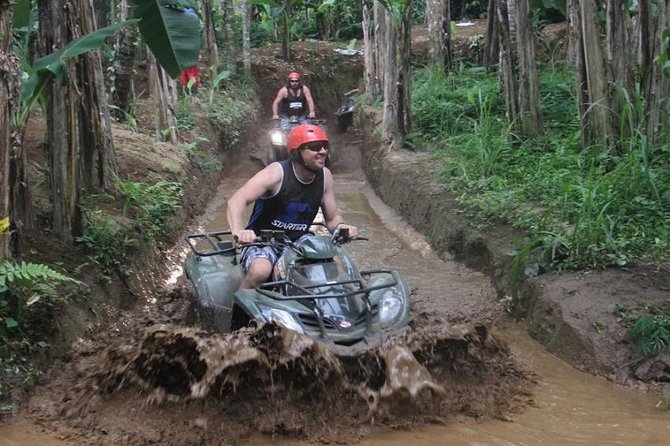 Bali ATV Ride With Jungle Swing and Rice Terrace Tour - Tour Highlights