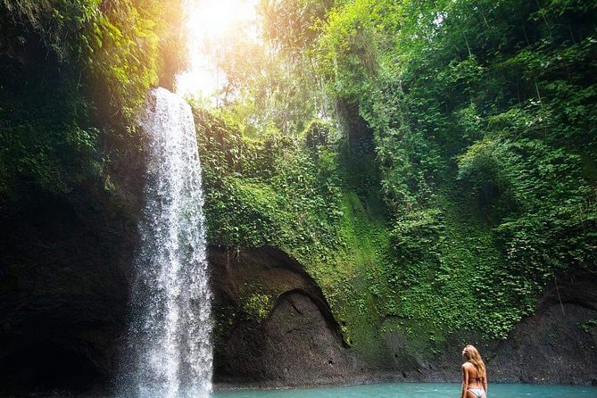 Bali : Best Private Day Tour With Private Driver