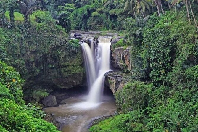 Bali Inclusive Tour: Best Waterfalls Around Ubud Area