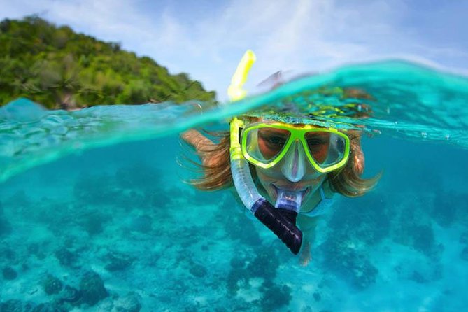 Bali Menjangan Island Snorkeling Day Tour - Inclusions and Pricing