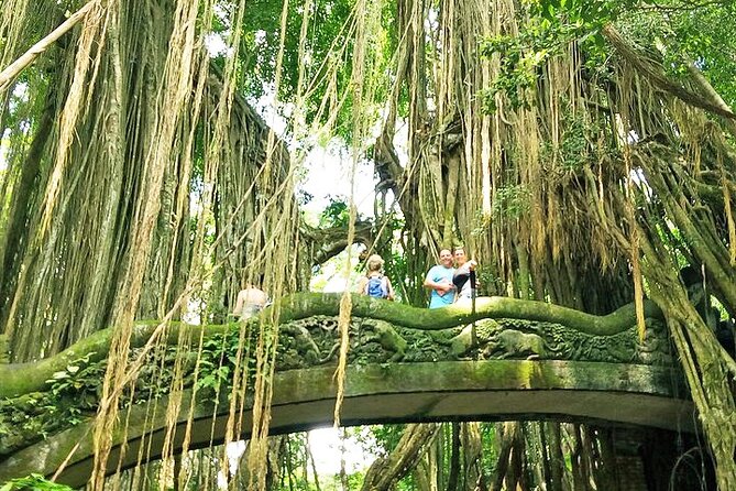 Bali Private Inclusive Tour : The Best Of Ubud With Jungle Swing - Inclusive Features