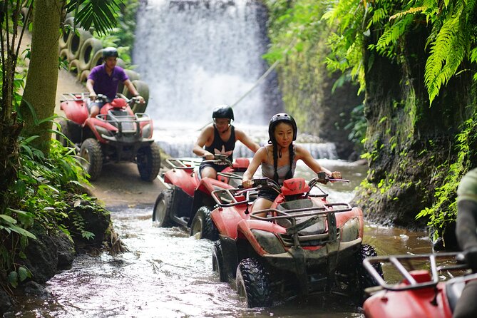 Bali Quad Bike Through Gorilla Cave – Monkey Forest and Waterfall