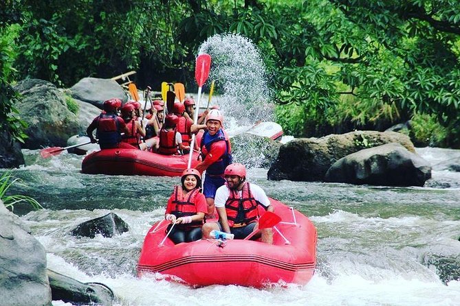 Bali Rafting Including Lunch and Transport - Pricing and Booking Information