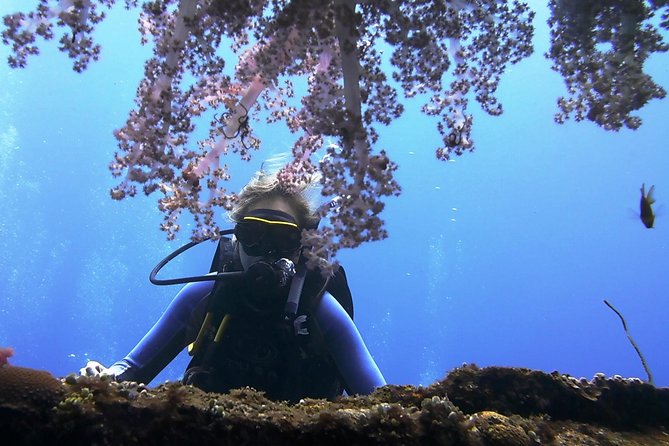 Bali Scuba Diving Trip at Tulamben for Certified Diver - Pickup Information and Additional Details