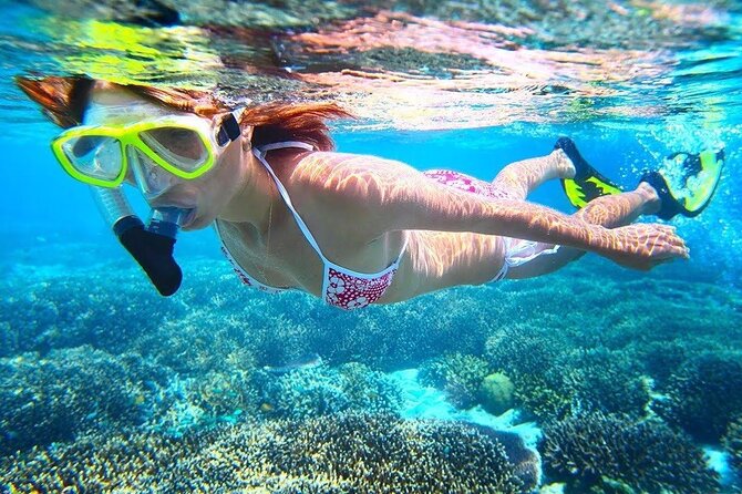 Bali Snorkeling at Blue Lagoon With Lunch And Private Transport - Tour Highlights