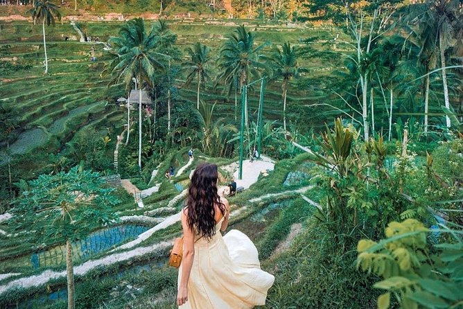 Bali Tour : Best Attractions in Ubud With Rice Terrace