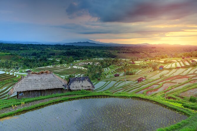 Bali Waterfalls, Rice Fields, and Temple Private Day Tour  - Ubud - Itinerary Overview