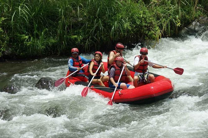 Bali White Water Rafting at Telaga Waja River - Experience Highlights