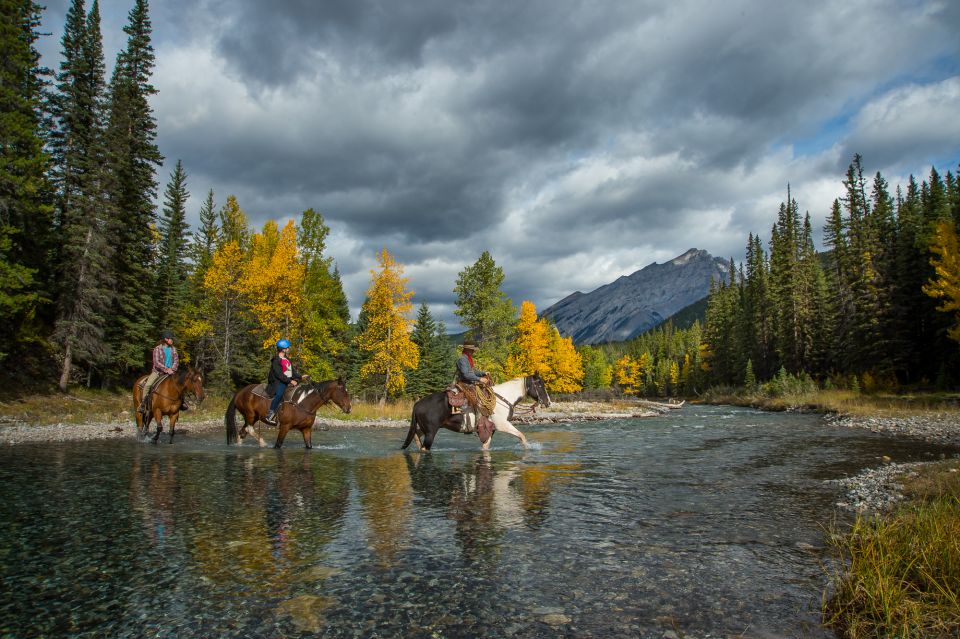 Banff: 4-Hour Sulphur Mountain Intermediate Horseback Ride - Booking Information