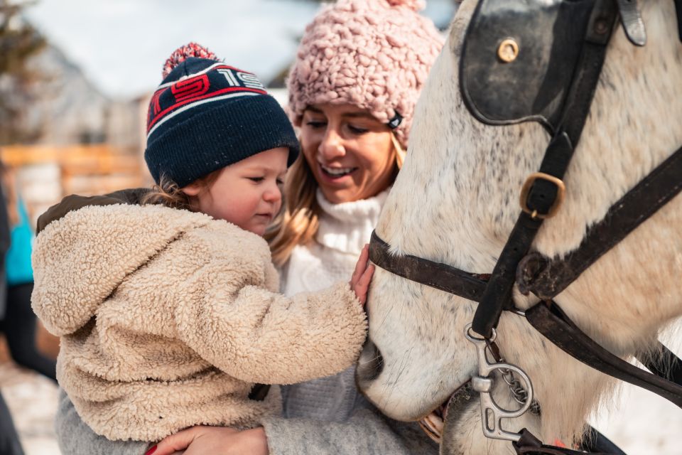 Banff: Family Friendly Horse-Drawn Sleigh Ride - Activity Details