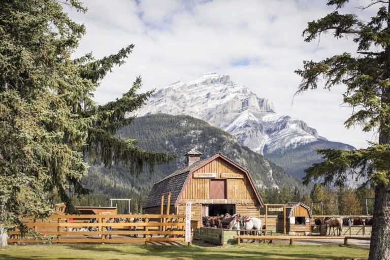 Banff: Wagon Ride With Cowboy Cookout BBQ