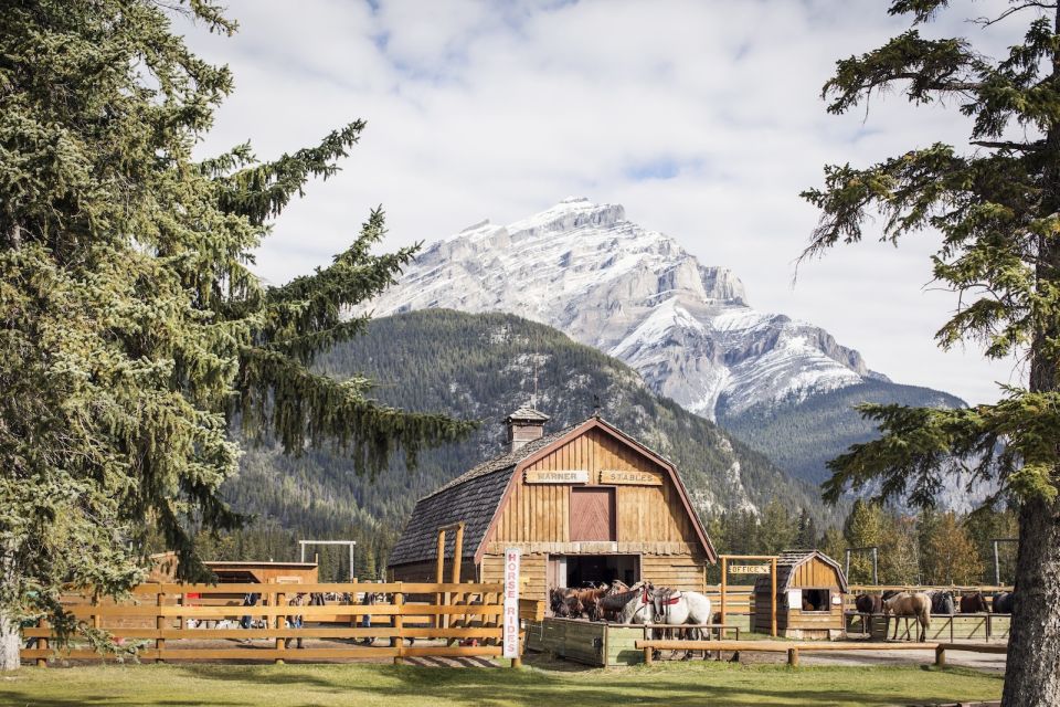 Banff: Wagon Ride With Cowboy Cookout BBQ - Booking Details