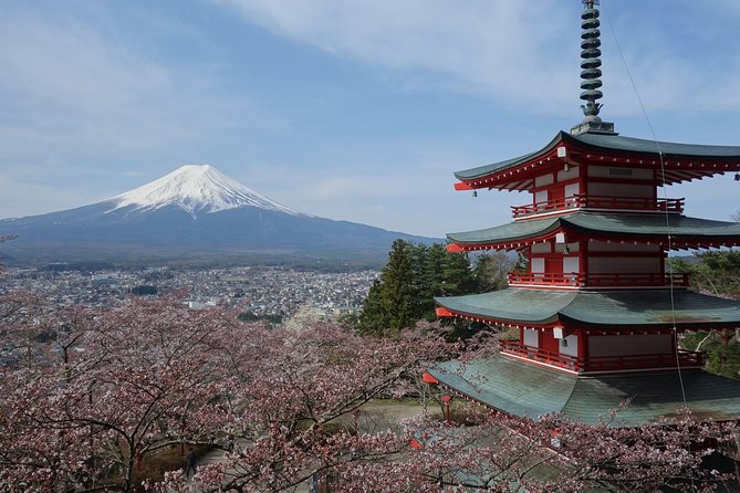 Barrier-Free Private Mt. Fuji Tour for Wheelchair Users - Tour Overview