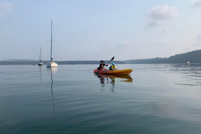 Batemans Bay Glass-Bottom Kayak Tour Over 2 Relaxing Hours