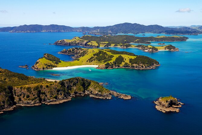 Bay of Islands Cruise & Island Tour - Snorkel, Hike,Swim,Wildlife - Tour Itinerary Overview