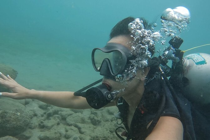 Beginner Scuba Diving Tour With Videos-Pcb - Common questions