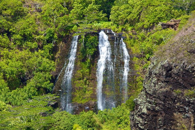 Best of Kauai Tour by Land and River - Tour Highlights