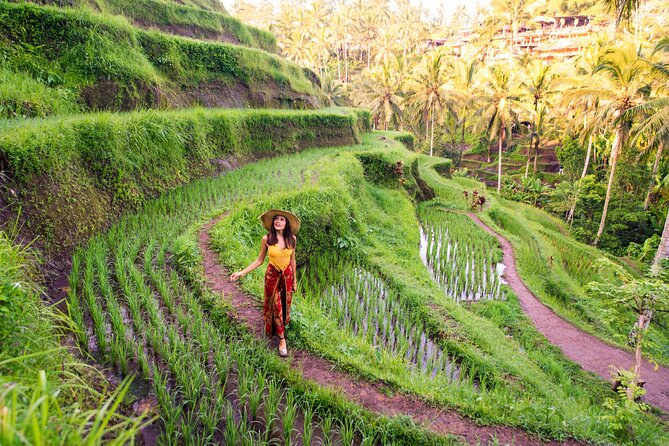 Best of Ubud Private Day Tour - Pricing and Booking Details