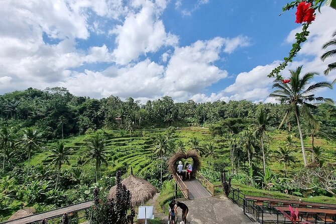 Best of Ubud Private Tour With Jungle Swing Experience - Pricing and Booking Details