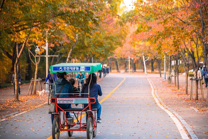 Best View Seoul Autumn Foliage Tour